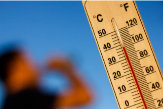 La canicule et votre santé